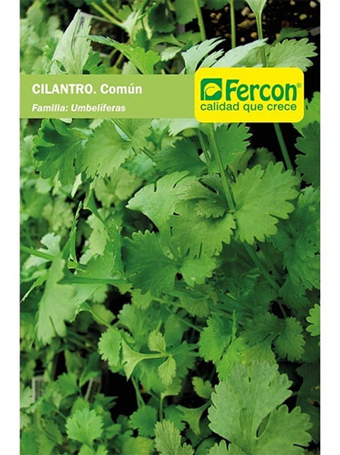 Semillas Siembra Hortaliza Cilantro Común Sobre x25gr