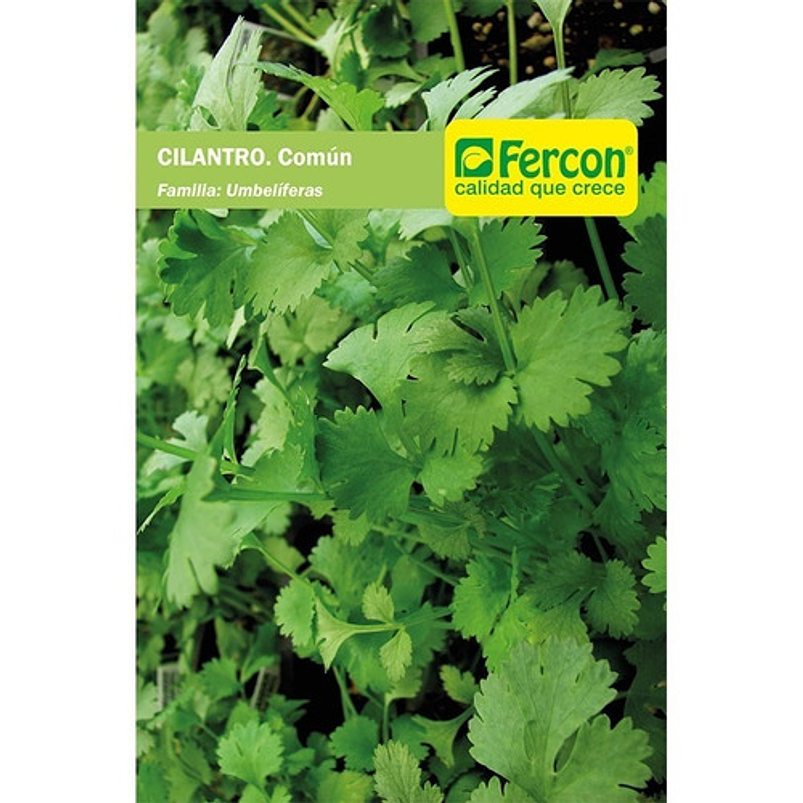 Semillas Siembra Hortaliza Cilantro Común Sobre x25gr 1
