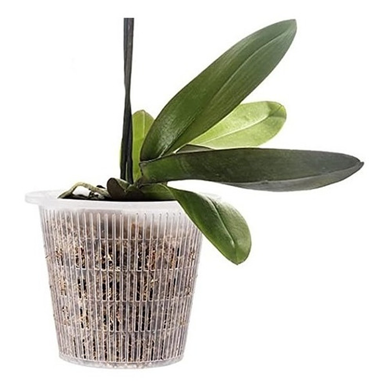 Macetas Siembra Orquídea Plástica x01 Unid Transparente 14cm 1