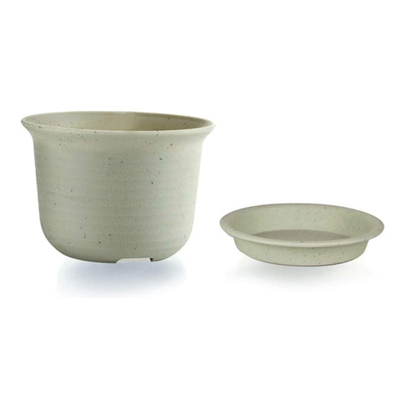 Maceta Plástica Plantas 15cm Diámetro x11cm Alto más plato 1