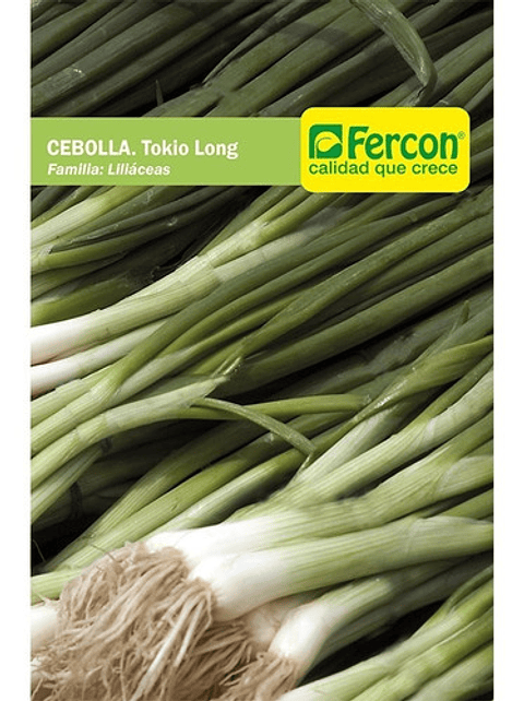 Semillas Hortaliza Siembra Cebolla Larga x25gramos 99% pureza