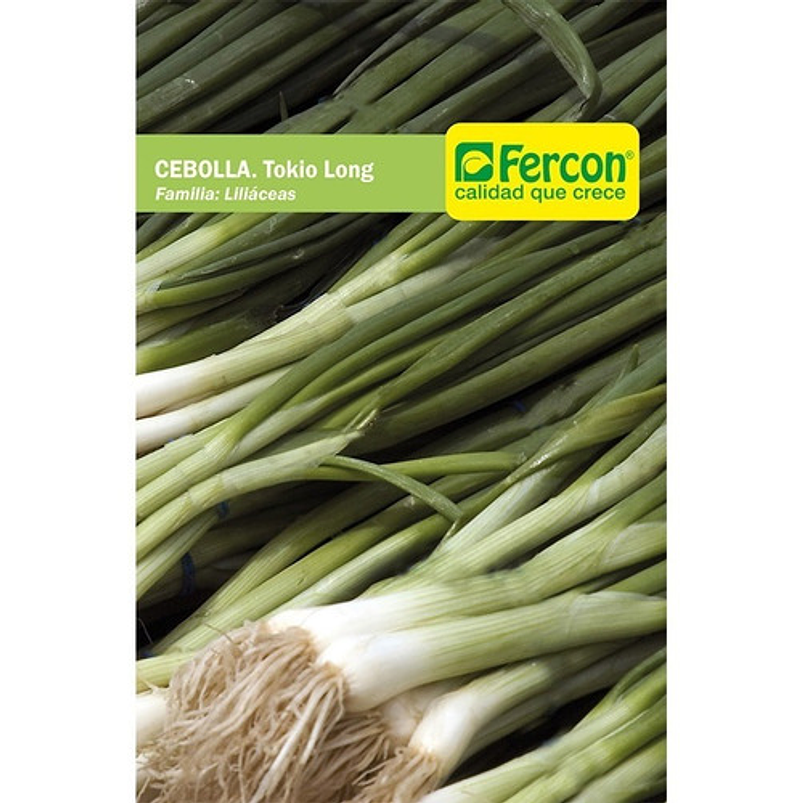 Semillas Hortaliza Siembra Cebolla Larga x25gramos 99% pureza 2