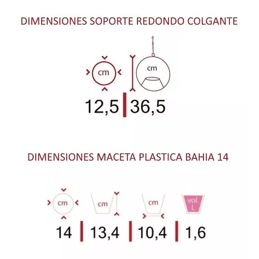 Combo Soporte Colgante y Maceta Plástica más Planta Miami 12