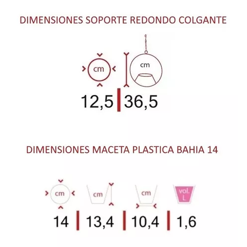 Combo Soporte Colgante y Maceta Plástica más Planta Miami 12