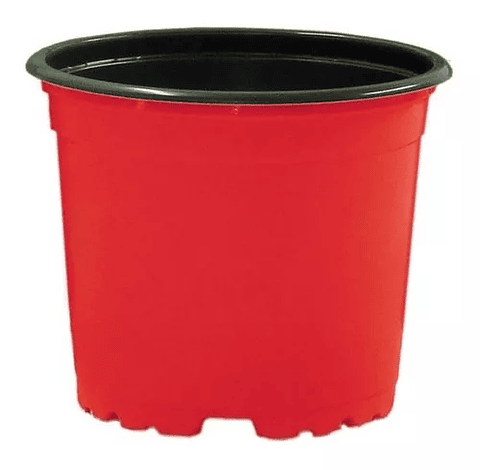 Matera - Maceta Tipo Vivero Color #12x10. Paquete x25 Unidades