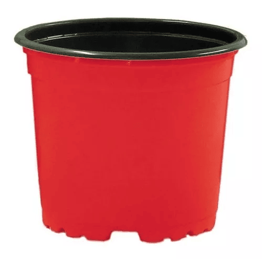 Matera - Maceta Tipo Vivero Color #12x10. Paquete x25 Unidades 1