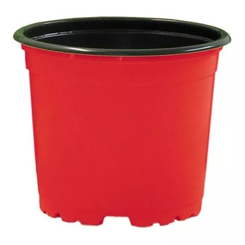 Matera - Maceta Tipo Vivero Color #12x10. Paquete x25 Unidades 1