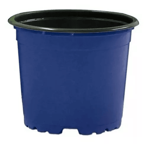 Matera - Maceta Tipo Vivero Color #12x10. Paquete x25 Unidades