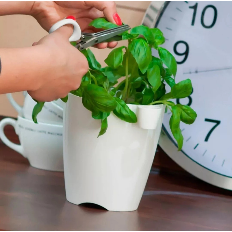 Maceta Plastica Blanco 16cm x 15cm Incluye Tijera 3 Laminas Redonda más Tijeras Blanco 2