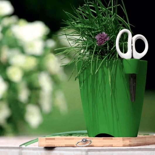 Maceta Plastica Blanco 16cm x 15cm Incluye Tijera 3 Laminas Redonda más Tijeras Blanco 3