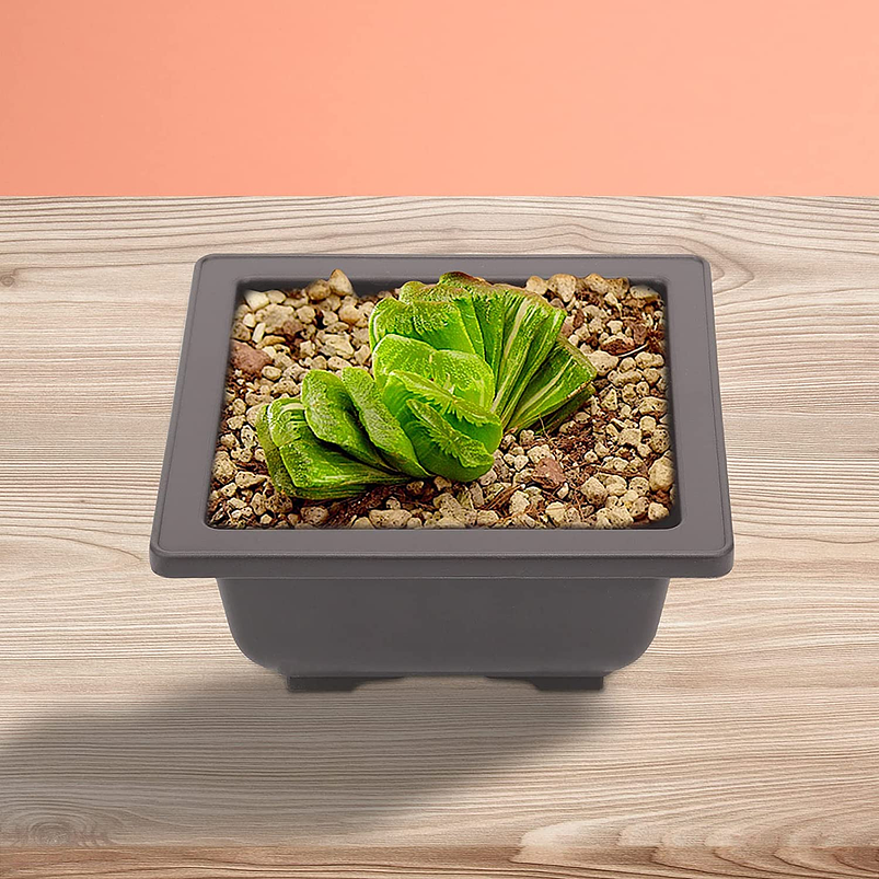Maceta de Bonsai Plastica Cuadrada 12x12cm Plantas Ornamental 3