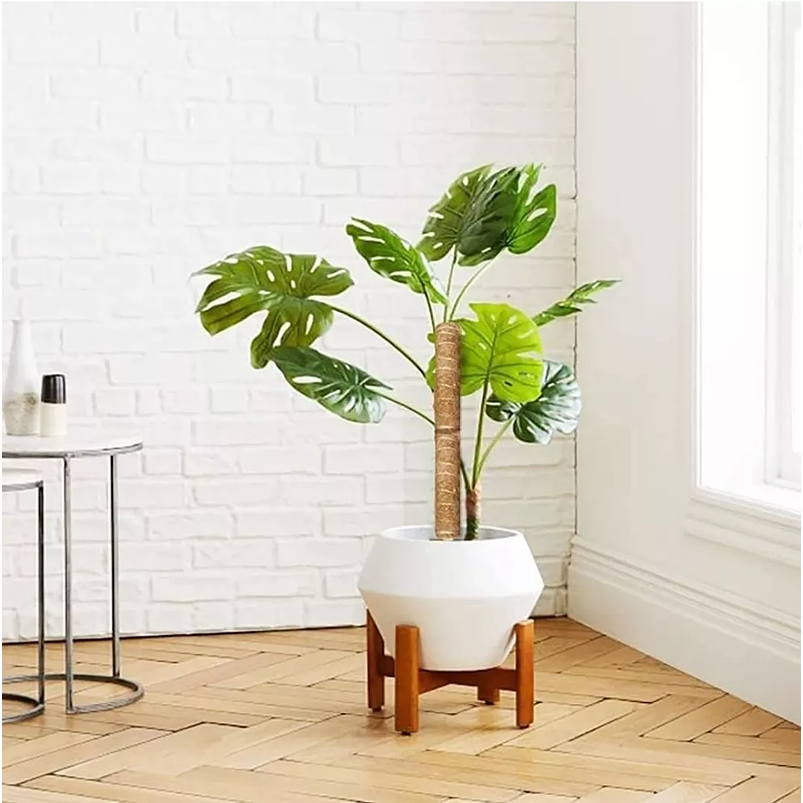 Kit Siembra Soporte Coco x2 Unidades Plantas Trepadoras 30cm 6