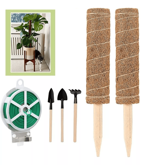 Kit Siembra Soporte Coco x2 Unidades Plantas Trepadoras 30cm