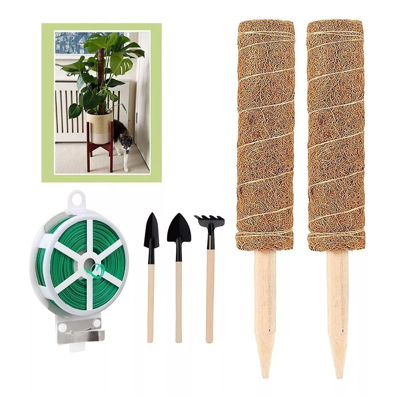 Kit Siembra Soporte Coco x2 Unidades Plantas Trepadoras 30cm 1
