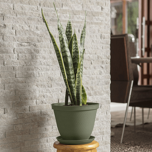 Maceta Plástica de Plantas más plato 30cm Diámetro x23,6cm Alto 9