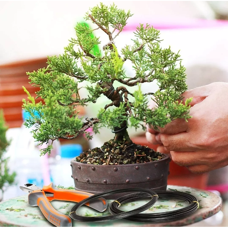 Alambres Entrenamiento Aluminio Bonsai 5 Rollos 7