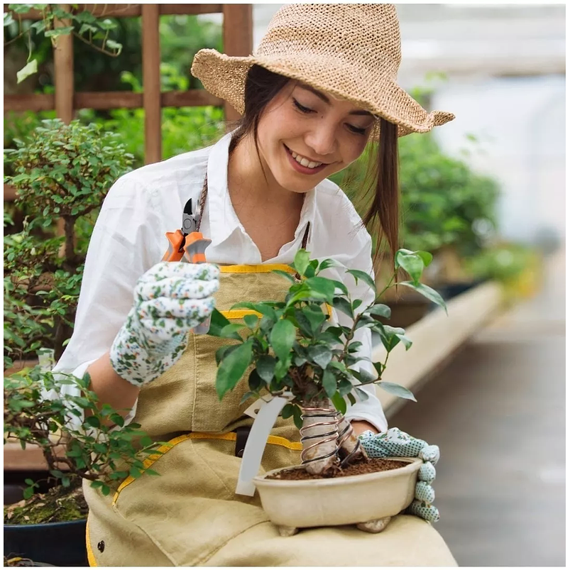 Alambres Entrenamiento Aluminio Bonsai 5 Rollos 6