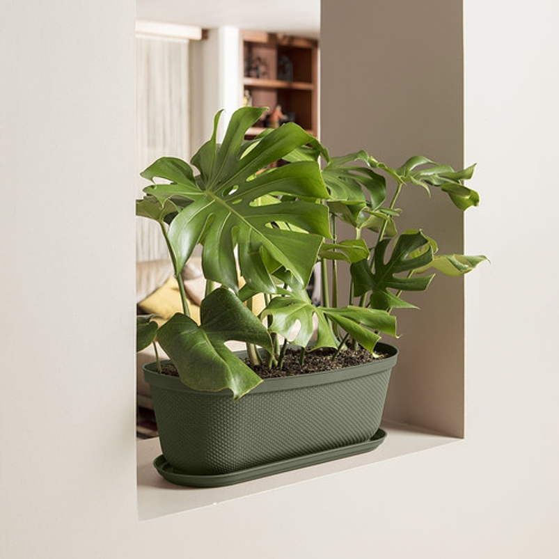 Maceta Plástica Jardinera más Plato 60cm Largo x19,6 Cm Alto 5