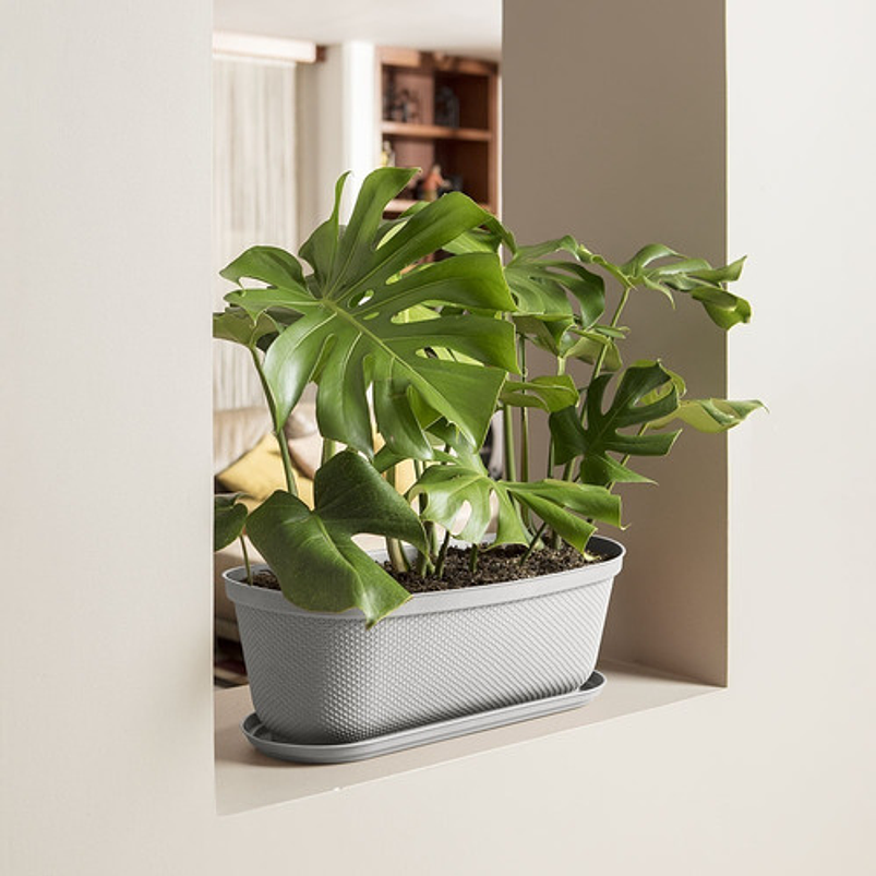 Maceta Plástica Jardinera más Plato 60cm Largo x19,6 Cm Alto 8