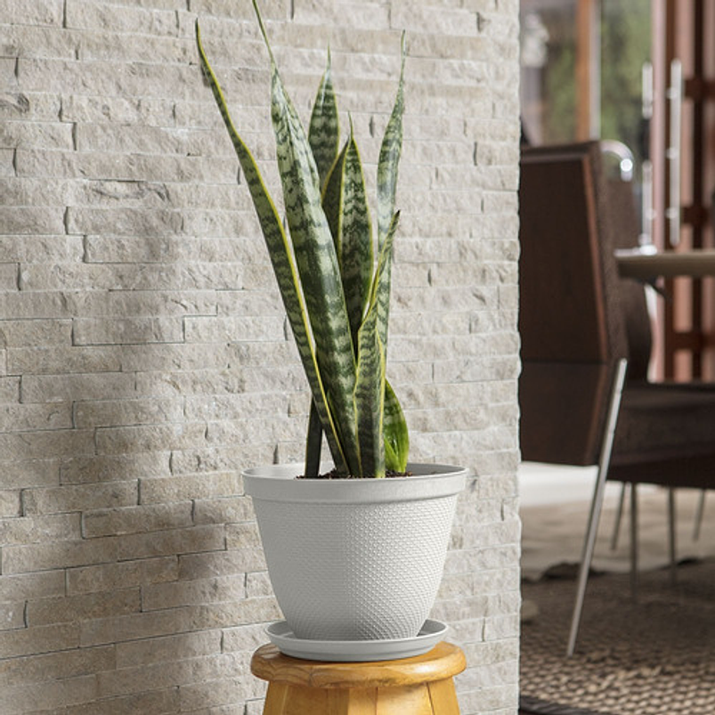 Maceta Plástica De Plantas más Plato 25cm Diámetro x20cm Alto 13