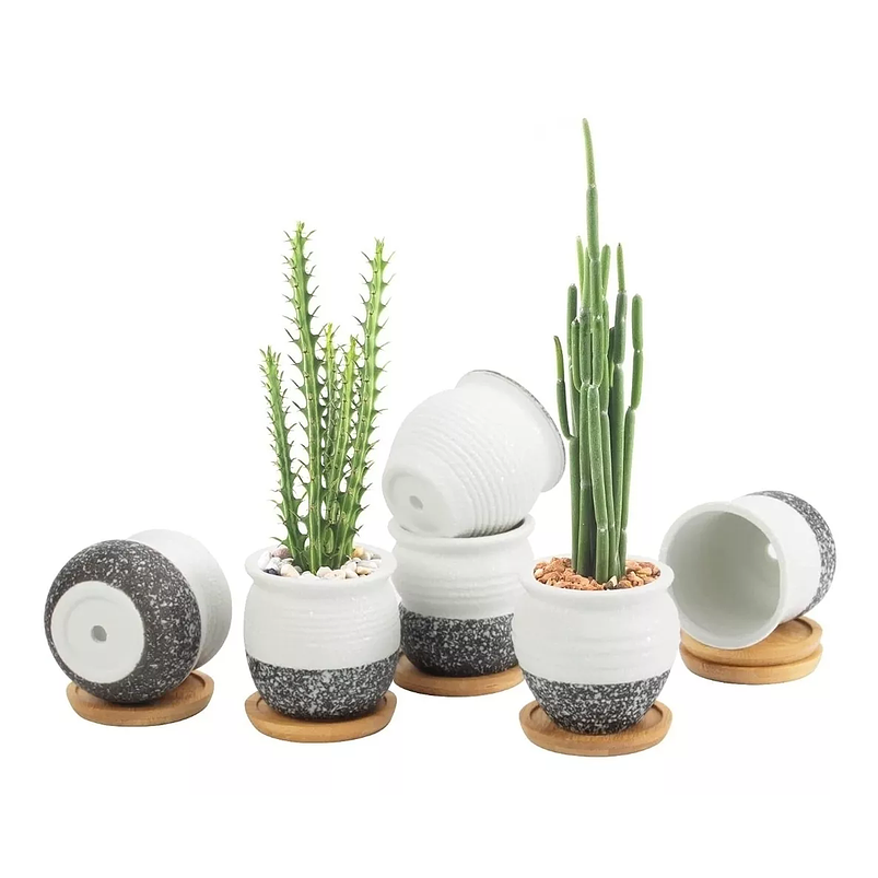 Juego Macetas X6unid Cerámica + Plato Bambú 6cmx6cm Suculeta 3
