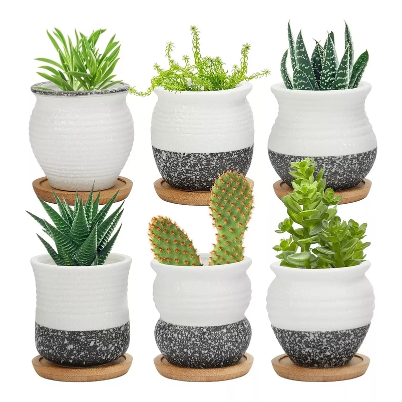 Juego Macetas X6unid Cerámica + Plato Bambú 6cmx6cm Suculeta 1