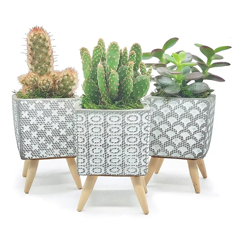 Juego 3 Macetas Cemento Nórdico Cuadrada 7.6cm Anchox10 Alto 1