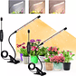 Luz Led Crecimiento Plantas Espectro Completo Clip Oficina  - Miniatura 1