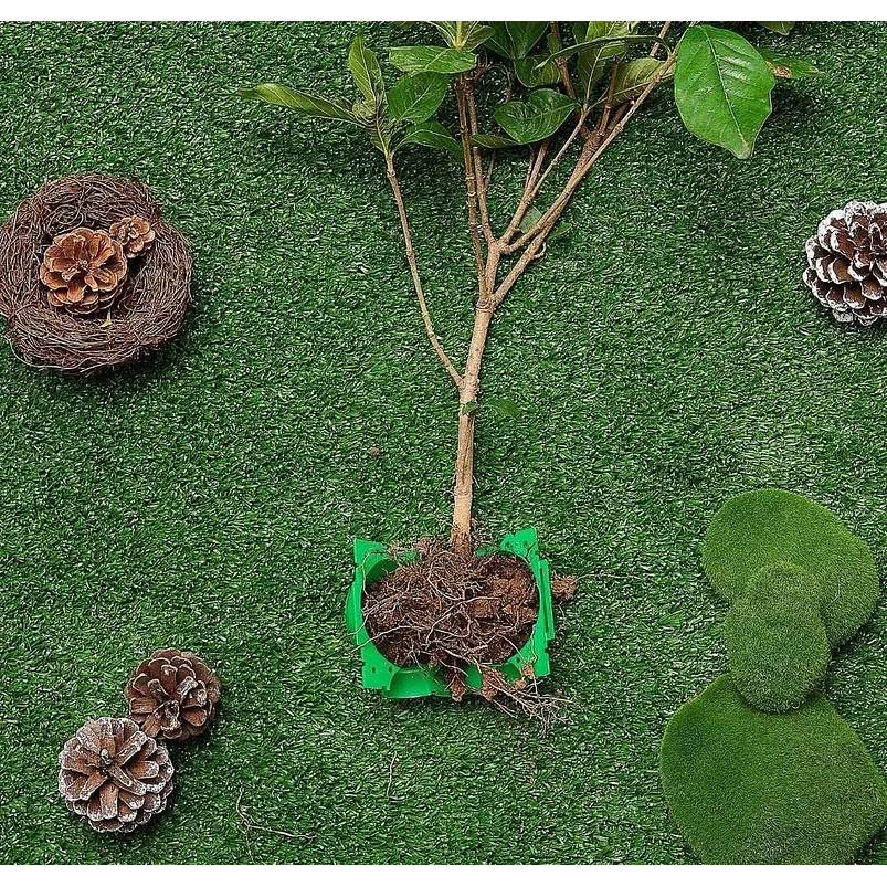 Esqueje Bola Plástica X5 Propagación Raiz Enraizamiento T-s 4