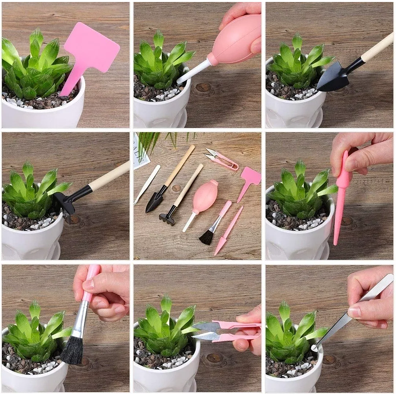 Kit Herramienta Plantas Cactus Suculentax15 Piezas Baby Pink  6
