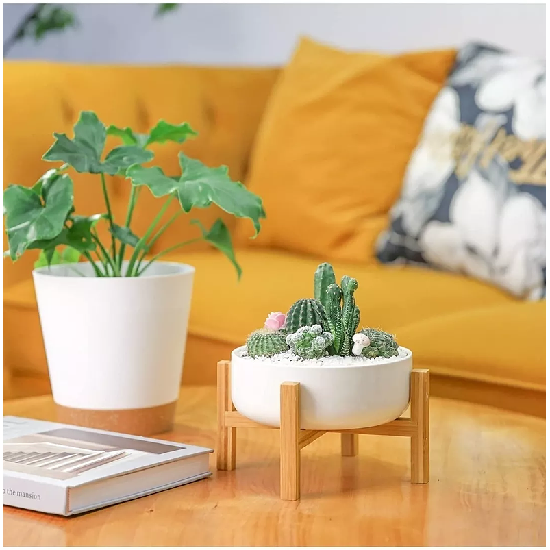 Maceta Cerámica Premium más Soporte Mesa Plantas Suculentas Blanco 2