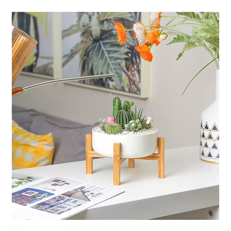 Maceta Cerámica Premium más Soporte Mesa Plantas Suculentas Blanco 6