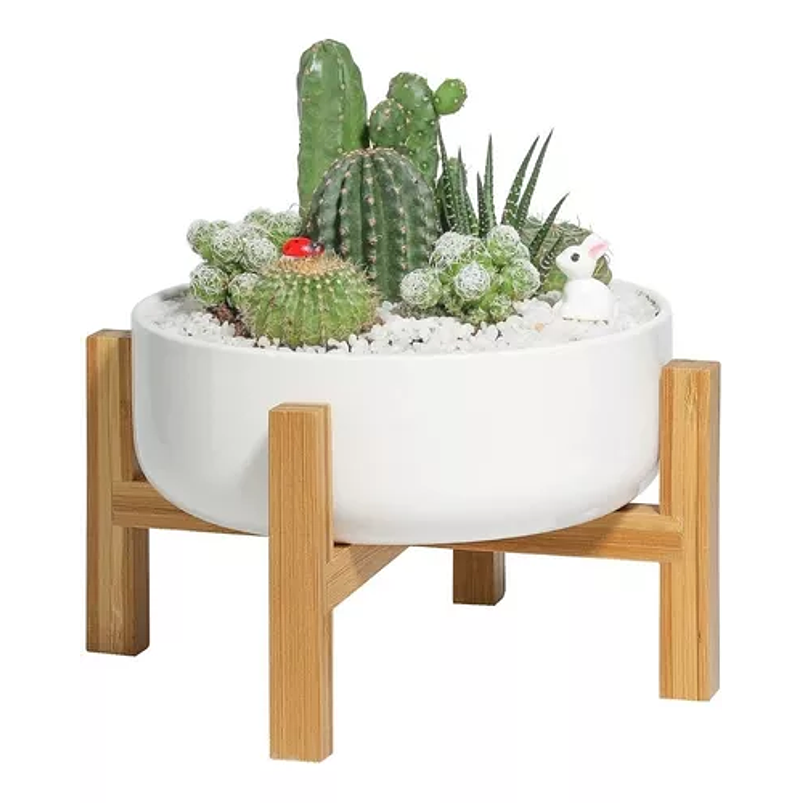 Maceta Cerámica Premium más Soporte Mesa Plantas Suculentas Blanco 7