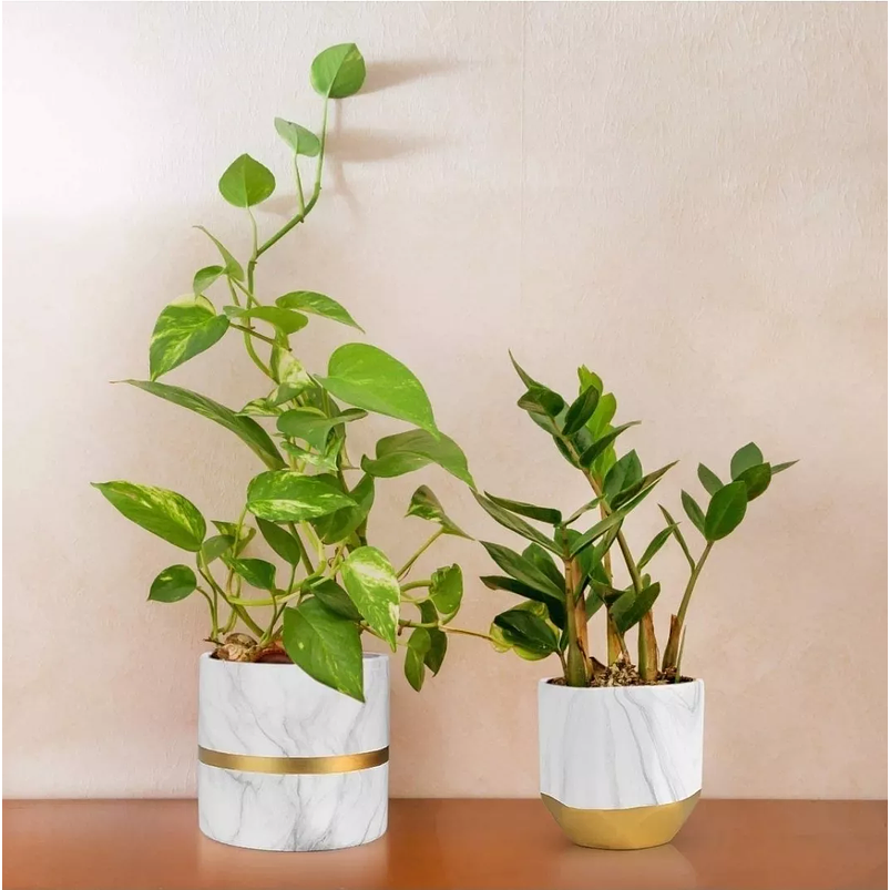 Juego Maceta Cerámica X2unid Diseño Mármol 13 Y 15cm Alto C/ 2