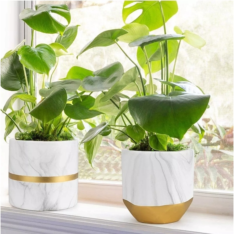 Juego Maceta Cerámica X2unid Diseño Mármol 13 Y 15cm Alto C/ 3