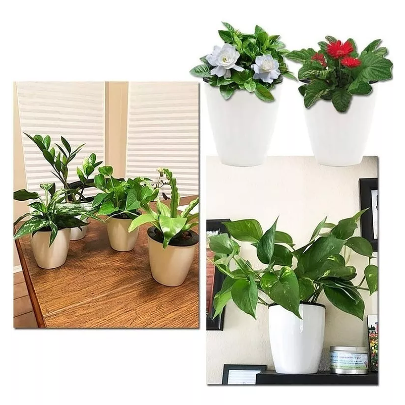 Maceta Plastica Con Sistema Autoriego 10cm Alto 9cm Diametro Blanco 4