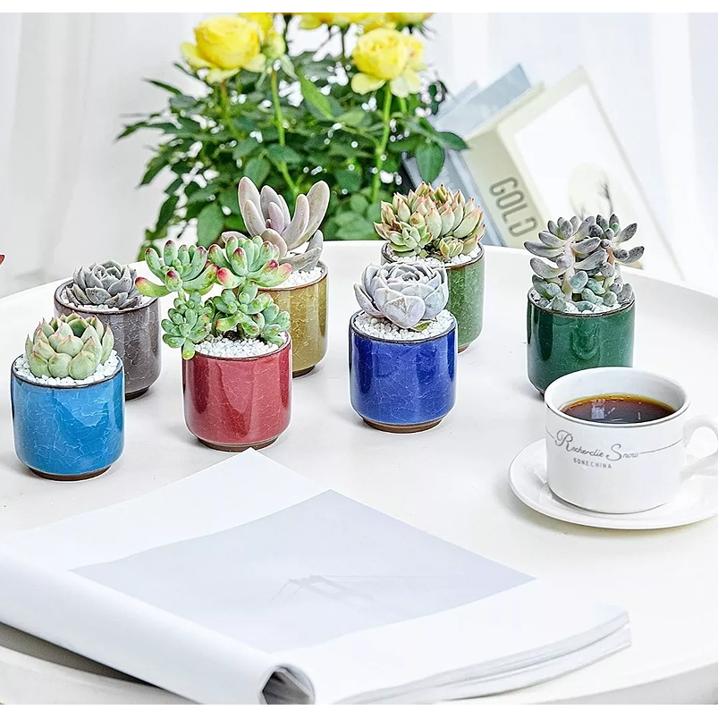 Juego Macetas X8unid Cerámica Fina 6cm Diamx6cm Alto Colores 3