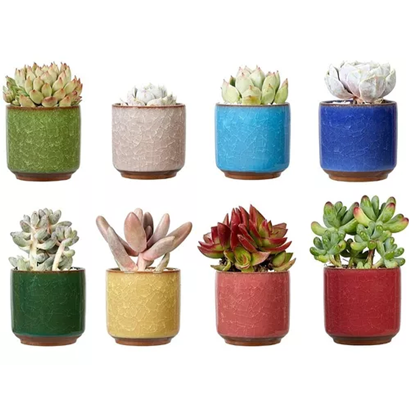 Juego Macetas X8unid Cerámica Fina 6cm Diamx6cm Alto Colores 1
