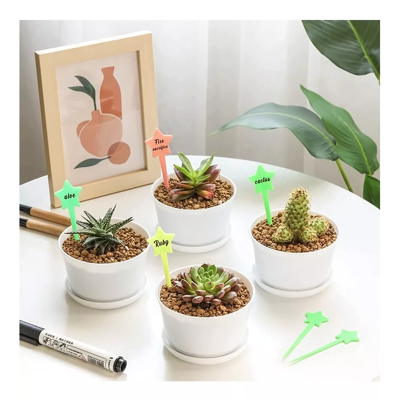 Maceta Plástica Brillante Suculentas +plato 10cm Dm X7cm Alt Blanco 1