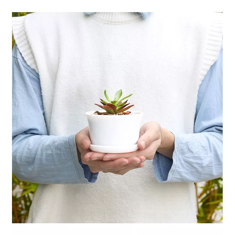 Maceta Plástica Brillante Suculentas +plato 10cm Dm X7cm Alt Blanco 6