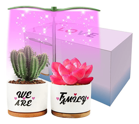 Juego Macetas Cerámica Suculentas x2 unidades más kit Iluminación