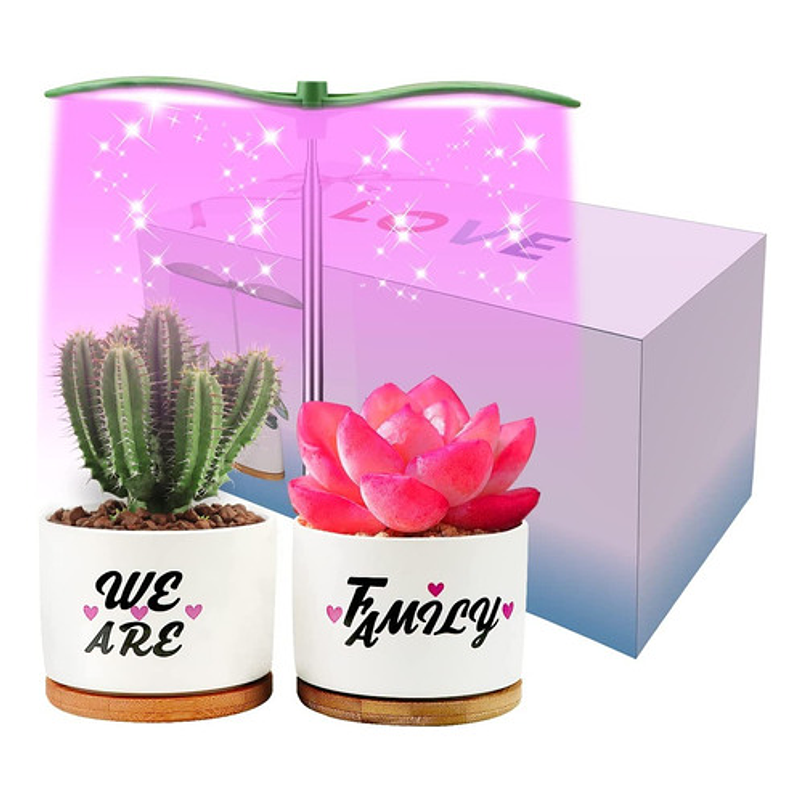 Juego Macetas Cerámica Suculentas x2 unidades más kit Iluminación 1