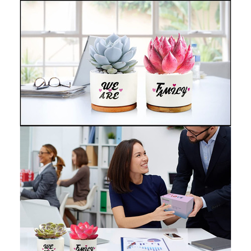 Juego Macetas Cerámica Suculentas x2 unidades más kit Iluminación 4