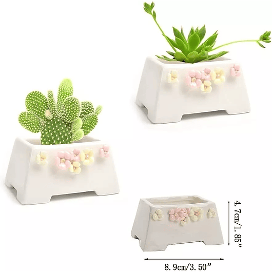 Juego Macetas De Cactus Y Suculentax4 Cerámica Diseño Flores 2