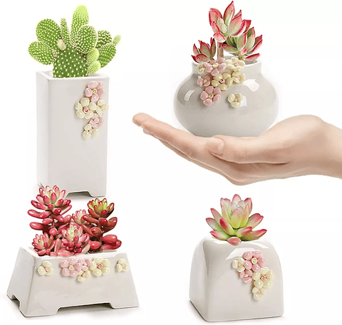 Juego Macetas De Cactus Y Suculentax4 Cerámica Diseño Flores