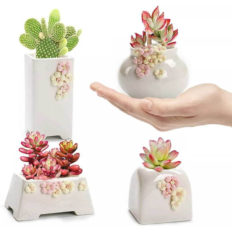 Juego Macetas De Cactus Y Suculentax4 Cerámica Diseño Flores 1