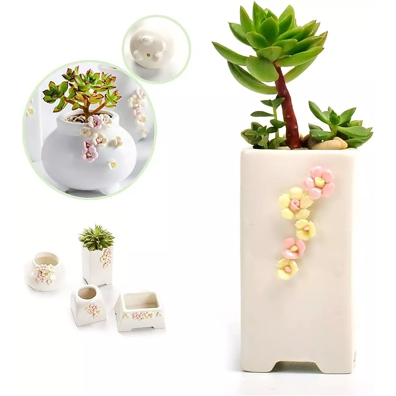 Juego Macetas De Cactus Y Suculentax4 Cerámica Diseño Flores 7