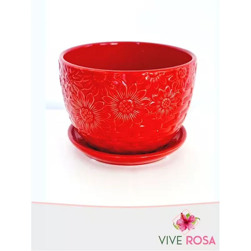 Matera De Plantas Redonda Grabada y plato 15cm Diam x12cm Alto 1