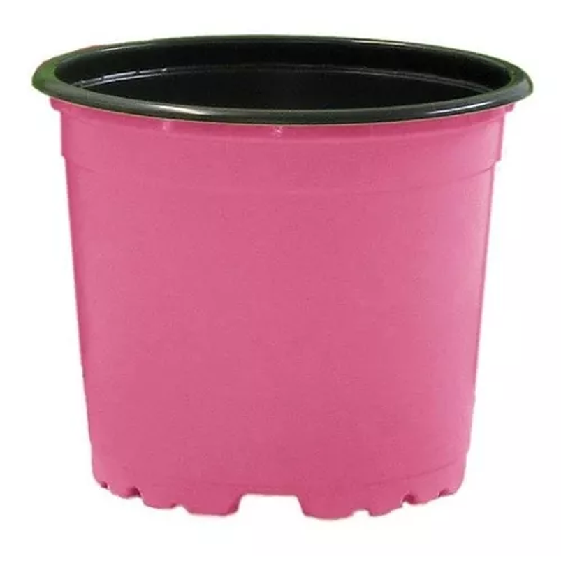 Matera - Maceta Tipo Vivero Color #12x10. Paquete 50 Unid 2