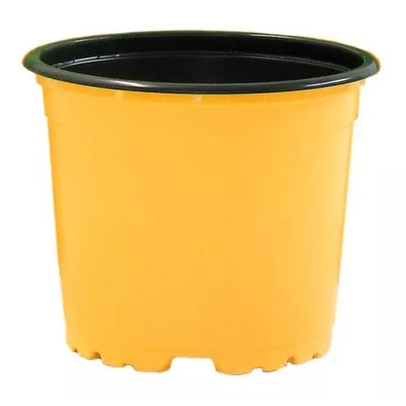 Matera - Maceta Tipo Vivero Color #12x10. Paquete 50 Unid 3